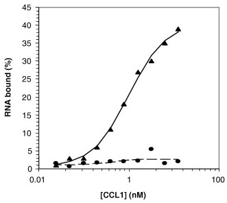 Binding studies of the T48 aptamer to hCCL1.jpg